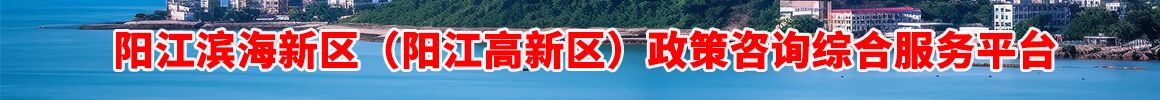 阳江滨海新区（阳江高新区）政策咨询综合服务平台