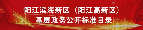 阳江滨海新区（阳江高新区）基层政务公开标准目录