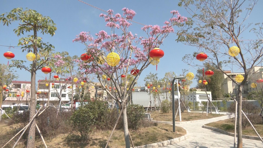 单帧素材_20260214153426.jpg