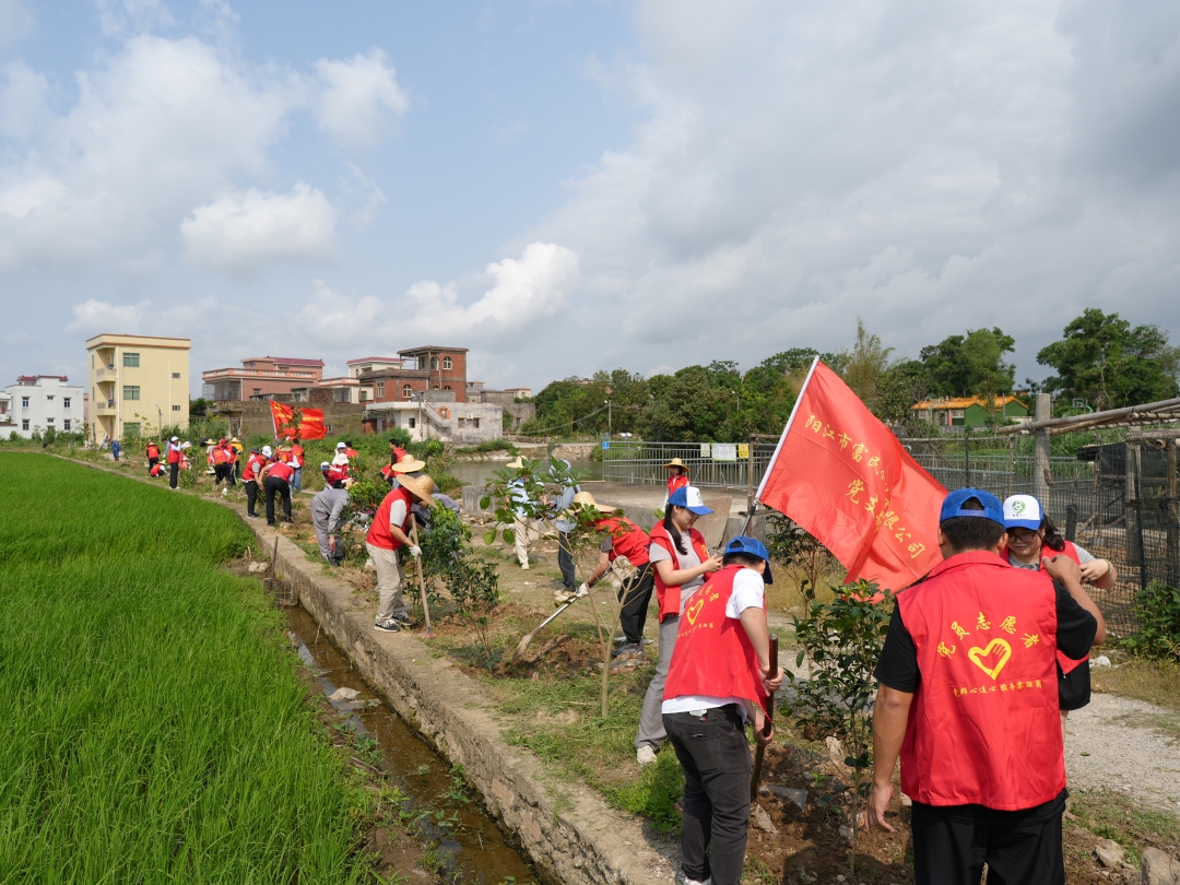 DSC09050.jpg